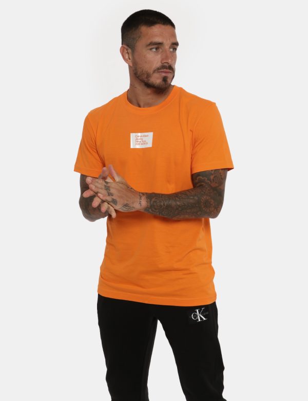 T-shirt Calvin Klein arancione - COMPOSIZIONE E VESTIBILITÀ:100% cotoneIl modello è alto 178 cm e indossa la taglia L. La ve