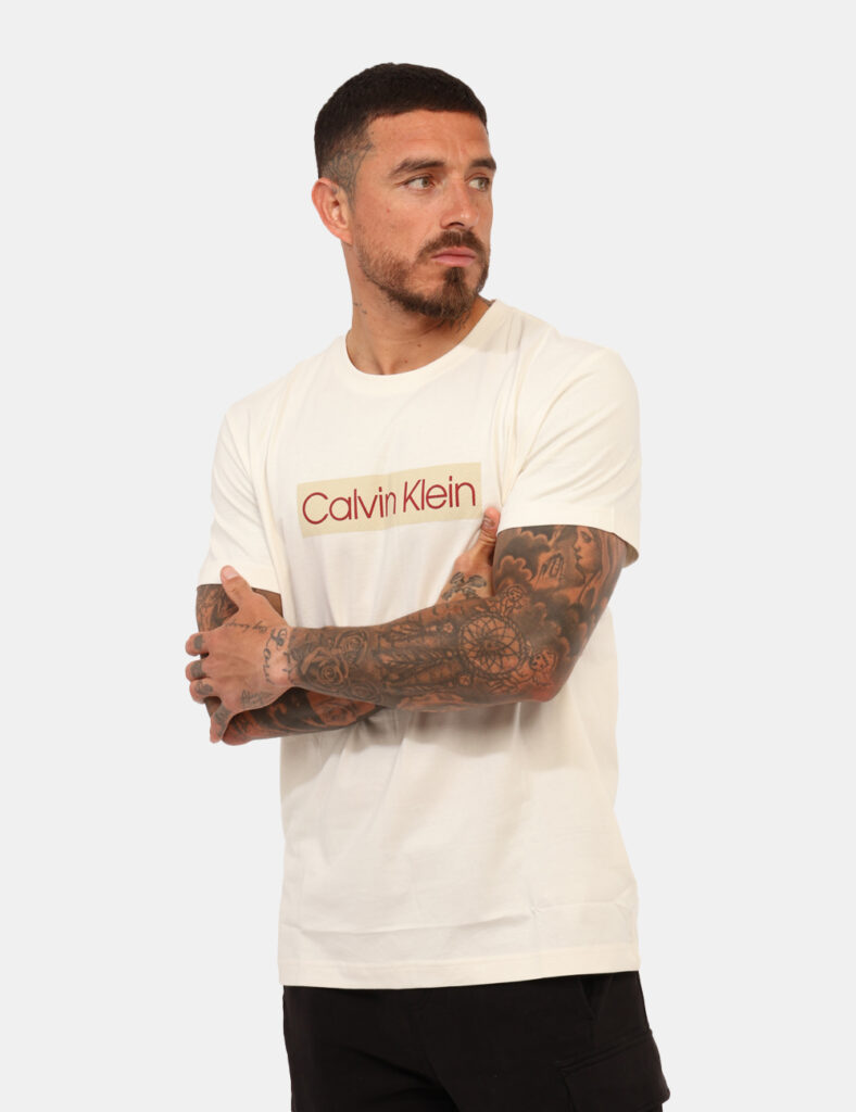 T-shirt uomo scontata - T-shirt Calvin Klein Beige