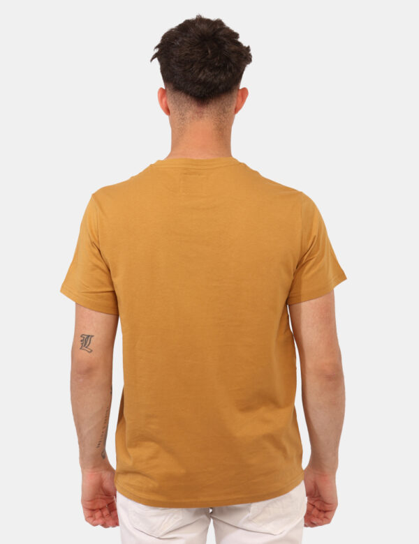 ARE4TS032550U-SZ_SENAPE_PE25