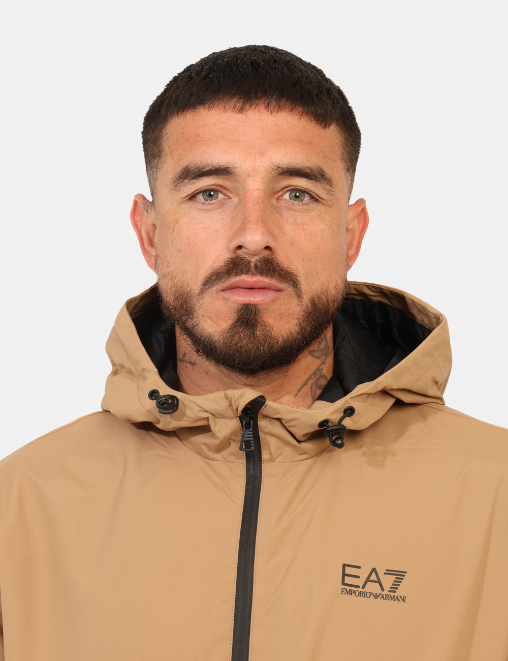 8NPB21-PNFZZ-OA_TIGERS-EYE_AI25_4 8NPB21-PNFZZ-OA_TIGERS-EYE_AI25