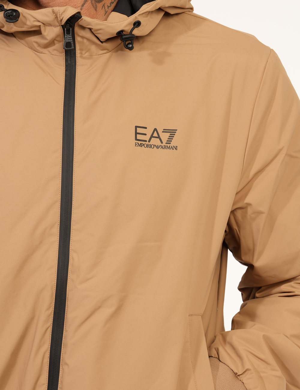 8NPB21-PNFZZ-OA_TIGERS-EYE_AI25_5 8NPB21-PNFZZ-OA_TIGERS-EYE_AI25