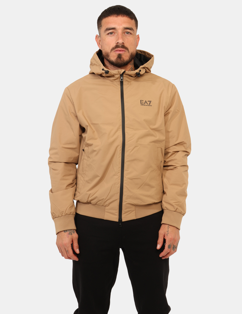 8NPB21-PNFZZ-OA_TIGERS-EYE_AI25_7 8NPB21-PNFZZ-OA_TIGERS-EYE_AI25