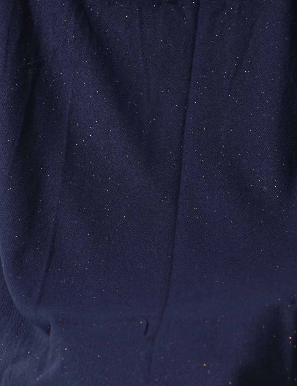 F983YBF13796-SA_BLU_AI25_4 F983YBF13796-SA_BLU_AI25