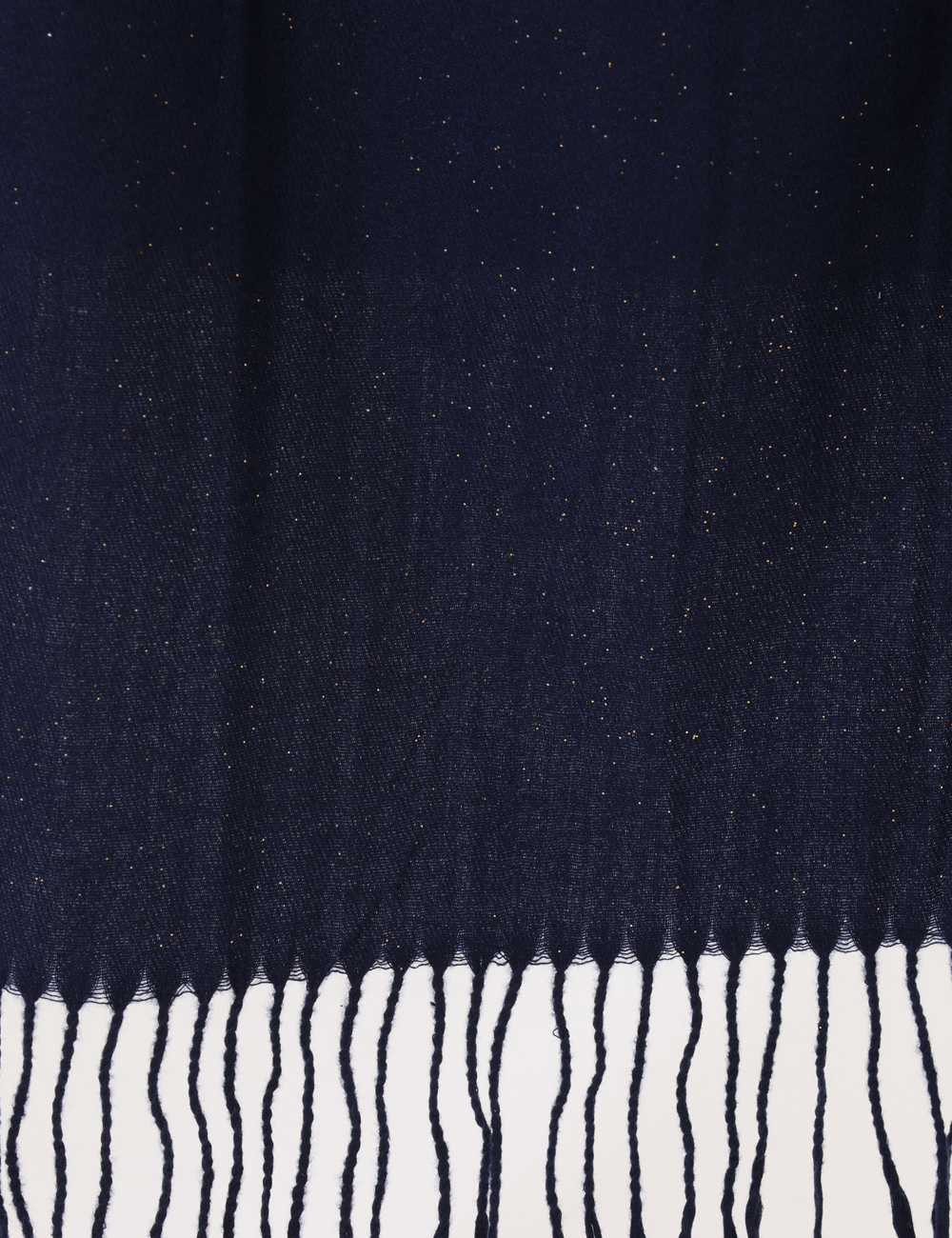 F983YBF13796-SA_BLU_AI25_5 F983YBF13796-SA_BLU_AI25