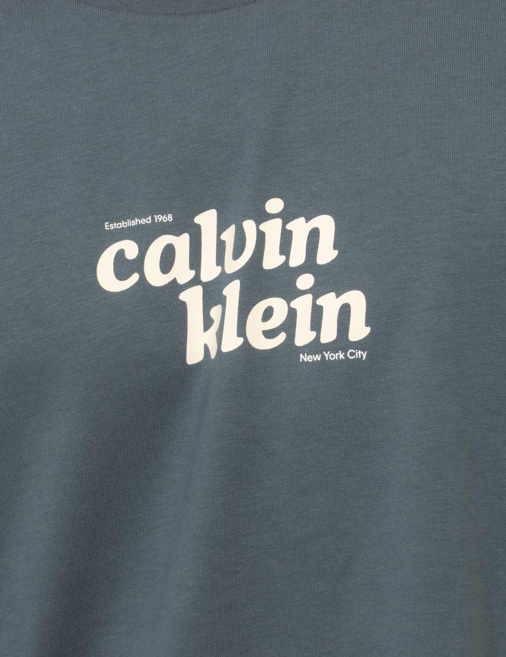 LV04RG815G_CEG_AI26_5 T-shirt Calvin Klein Azzurra - T-shirt CALVIN KLEIN Azzurra da uomo: freschezza e stile per ogni occasione La T-shirt CALVIN