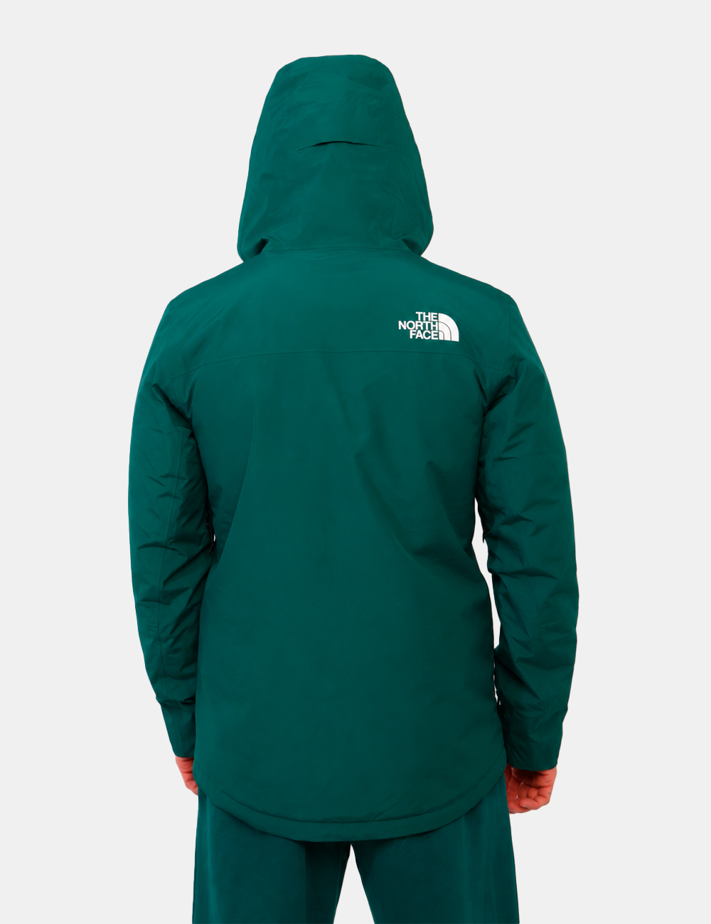 NF0A87Y9N4JS-V-CC_VERDE_AI26_2 Piumino The North Face Verde tg.M - Piumino THE NORTH FACE Verde da uomo Il Piumino THE NORTH FACE Verde è il compagno ideal