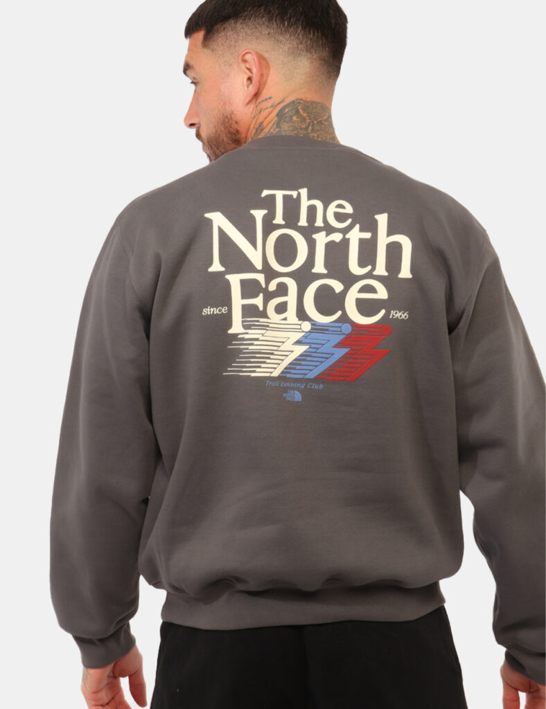Felpa The North Face Grigia tg.M
