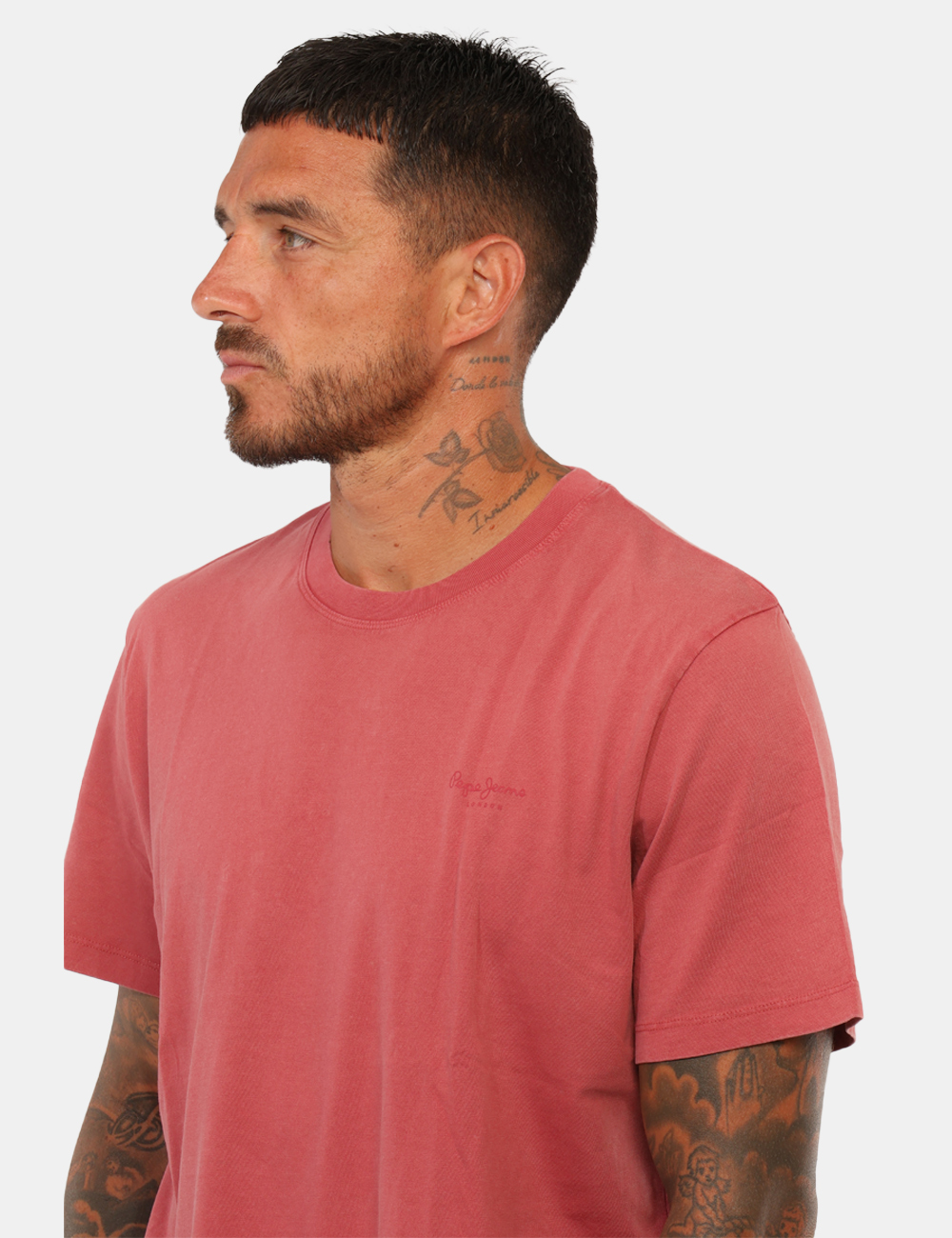 PM508664_CINNABAR-RED-P203_AI26_3 PM508664_CINNABAR-RED-P203_AI26