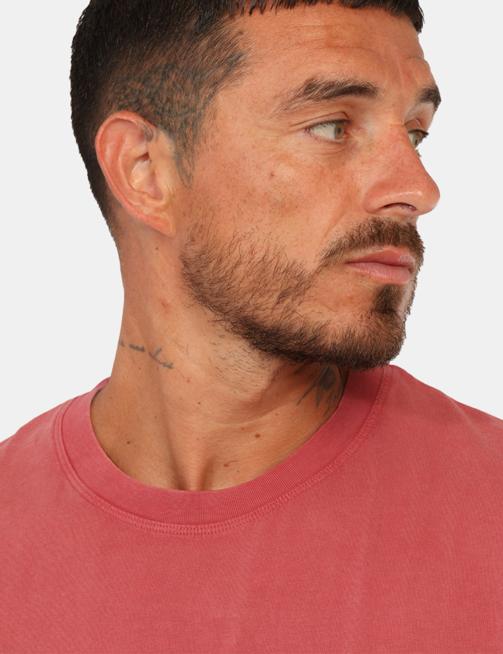 PM508664_CINNABAR-RED-P203_AI26_5 PM508664_CINNABAR-RED-P203_AI26